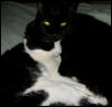 Giz take care uf me