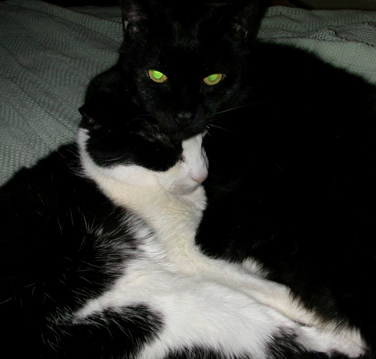 Giz take care uf me