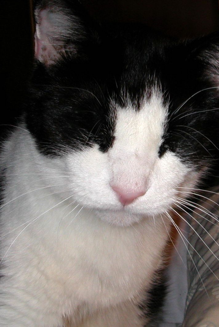 Rufie