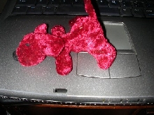 peppir sended me a catnip goggie!