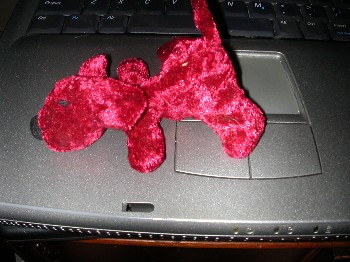 peppir sended me a catnip goggie!