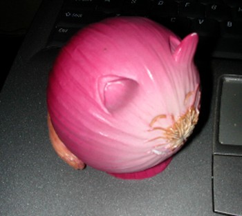 Peppir sended me a onion kitty!