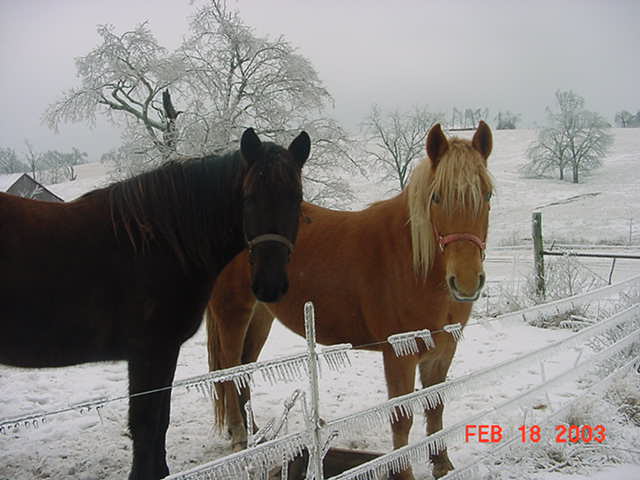 Ice Storm