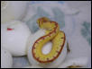new arrival 2