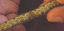 blurry