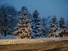 Cold in MN