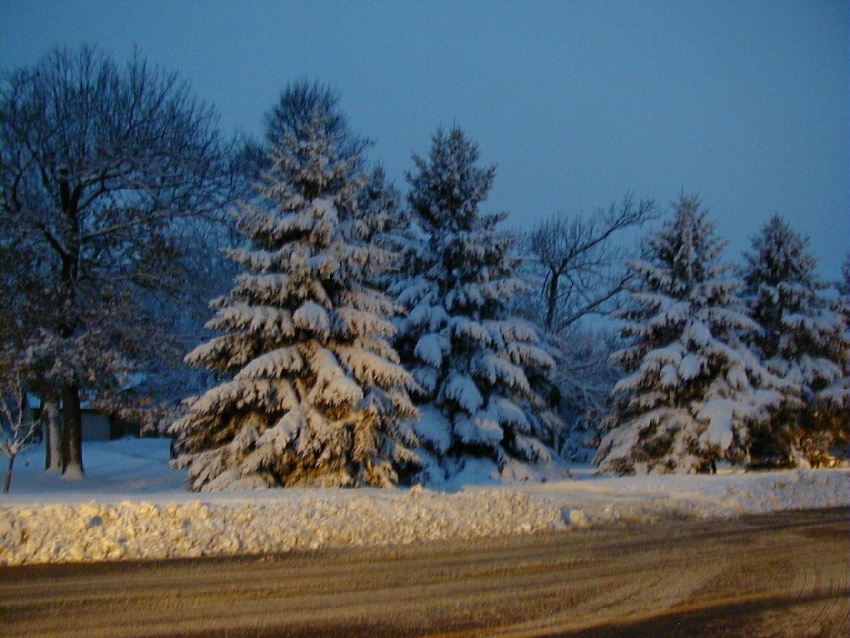 Cold in MN