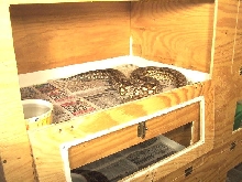 internal view of horizontal 6 unit rolling tower
