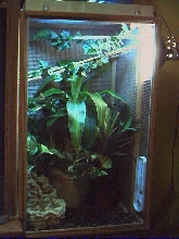 Jack's cage