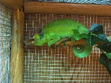 Jack sleeping