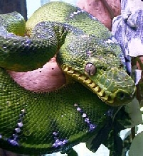 Manali's beautiful face