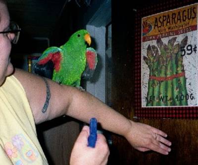 Kori, my SIEClectus, getting ready for a shower!