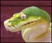 What a face!!!