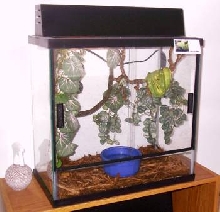 cages for my GTPs - Barsi's cage