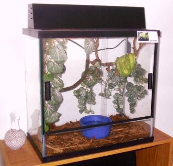 cages for my GTPs - Barsi's cage