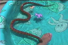swimming on a hot, hot day