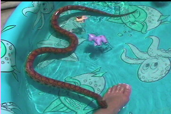 swimming on a hot, hot day