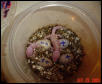Caught one Hatching