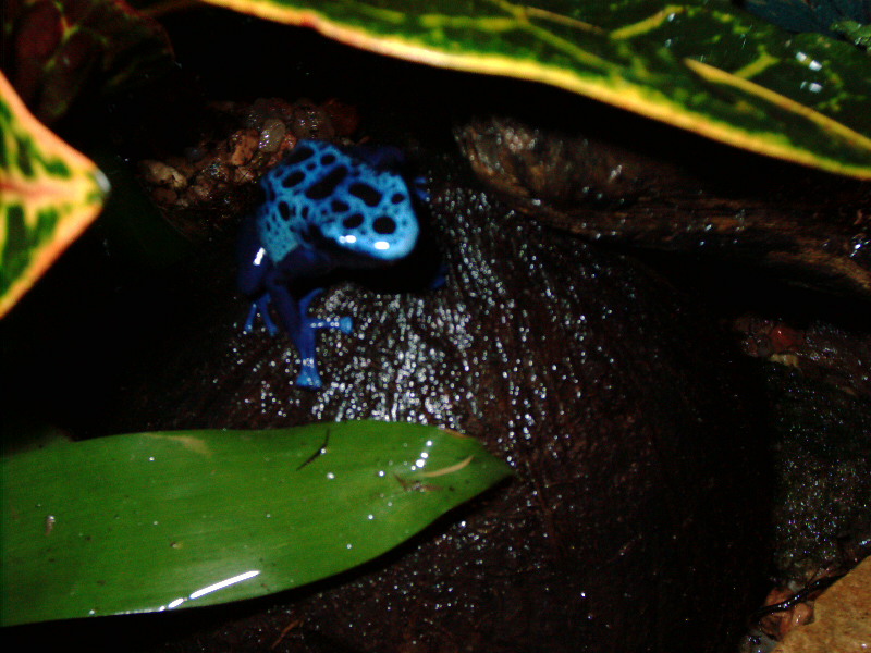 male#2