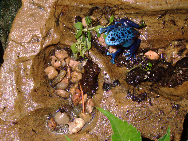 male1