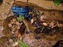 male2