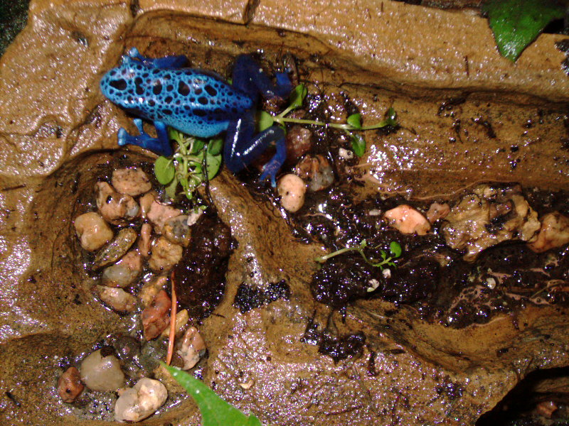 male2