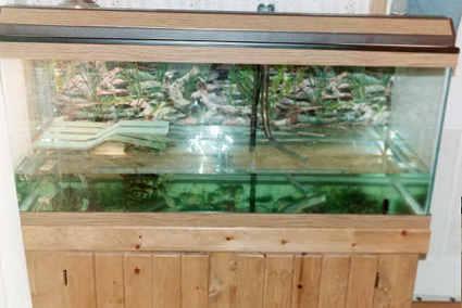 75g
