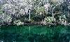 Blue Springs. Florida