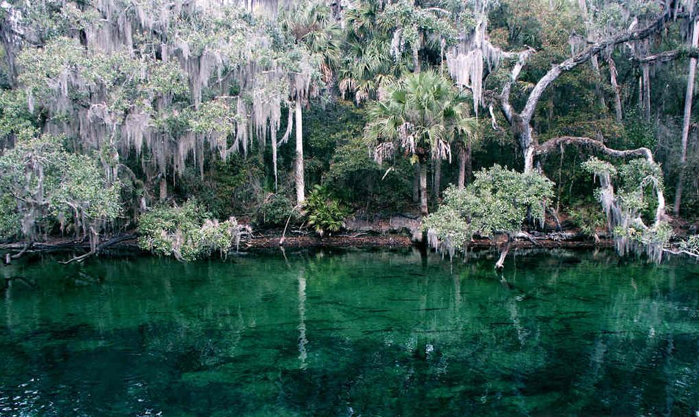 Blue Springs. Florida