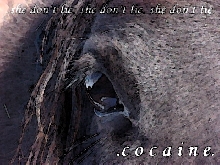 cocaine