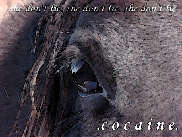 cocaine