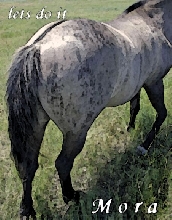 Mora
