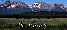 The History