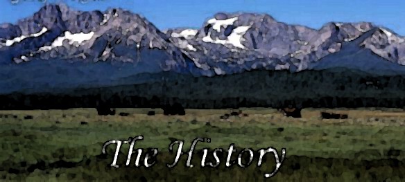 The History