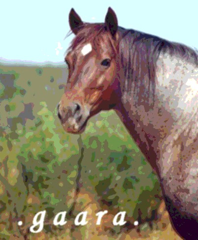 gaara2