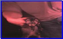 Holding ferret to scanner