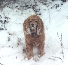 My Sandy Babe