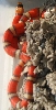 hypo female