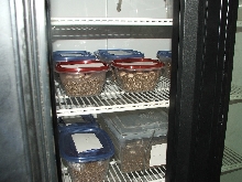 Incubator with eggs