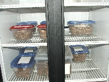 Incubator with eggs