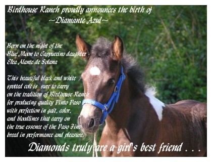 Diamante Azul