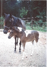 misty's baby