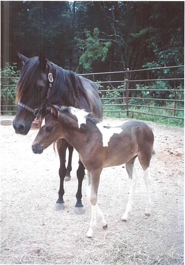 misty's baby