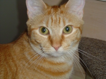 Closeup Gabby