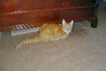 Gabby3