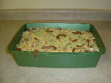 Kitty Litter Cake