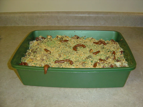 Kitty Litter Cake