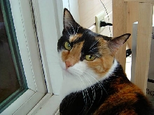 Lizzy Close up
