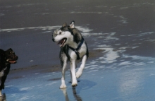 Mazzy