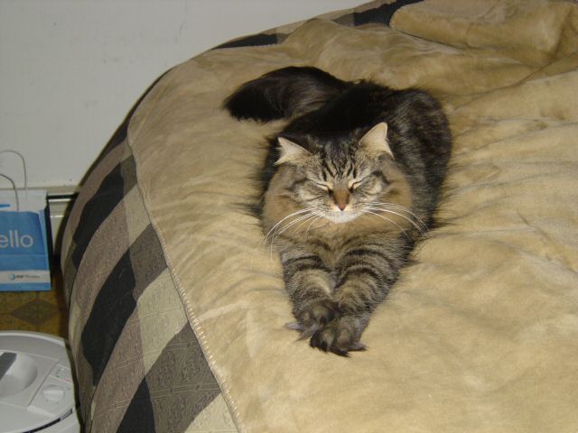 Moxie2